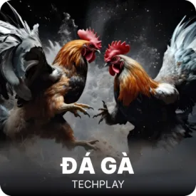 Dá Gà